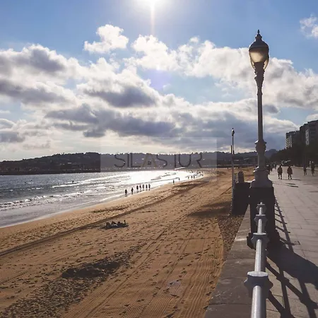 Rufo By Silastur Daire Gijón